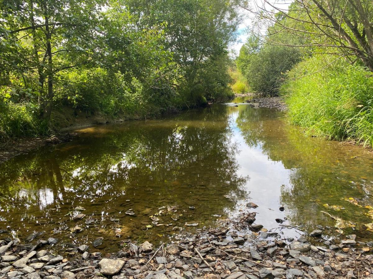 Le Heron - Gite De Charme Cloture, Acces A La Riviere - 6 Ou 10 Personnes Fauvillers Zewnętrze zdjęcie
